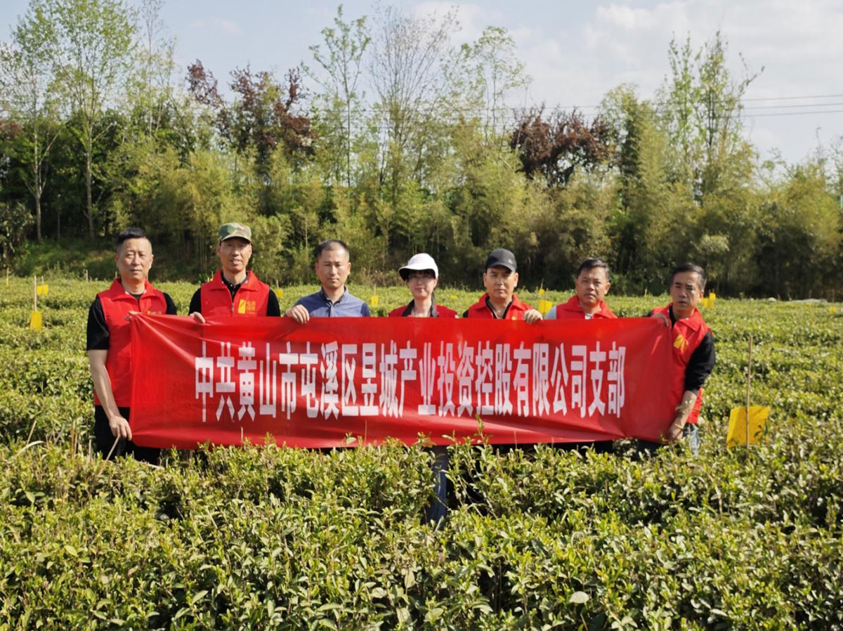 昱城產(chǎn)投公司黨支部開展“茶香潤初心，黨旗映茶園”主題黨日活動